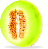 メロン胎座エキス